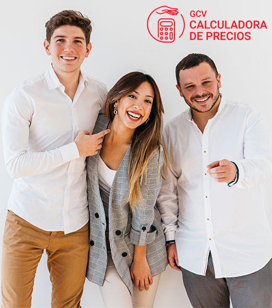 Equipo calculadora de precios veterinarios